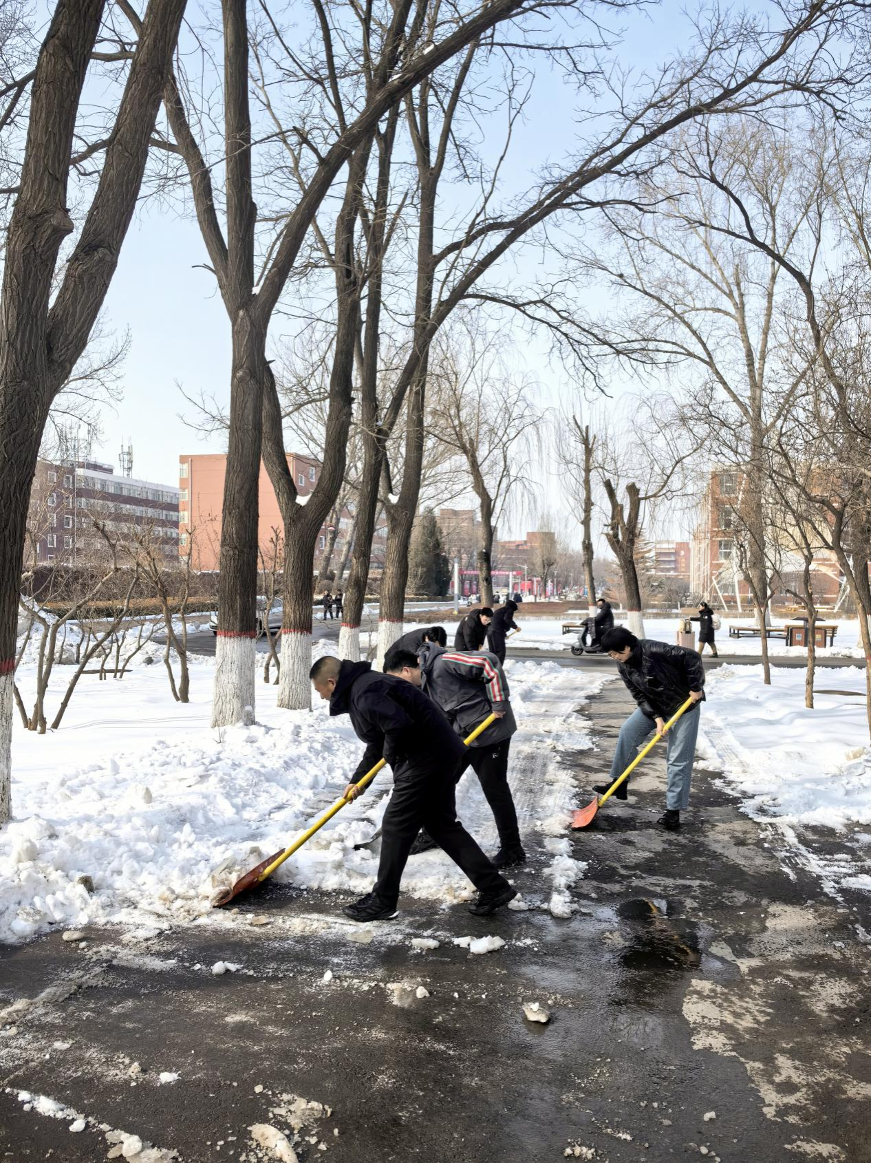 学校扫雪照片图片